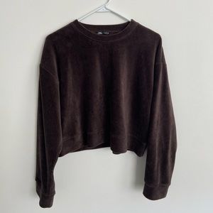 Zara Brown Corduroy Long Sleeve Top